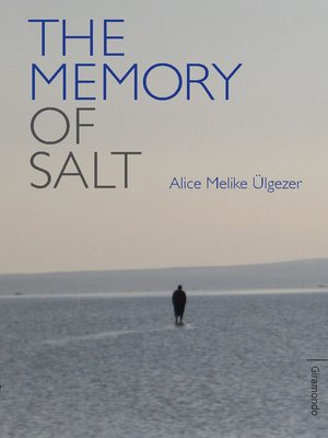 cover image of The Memory of Salt